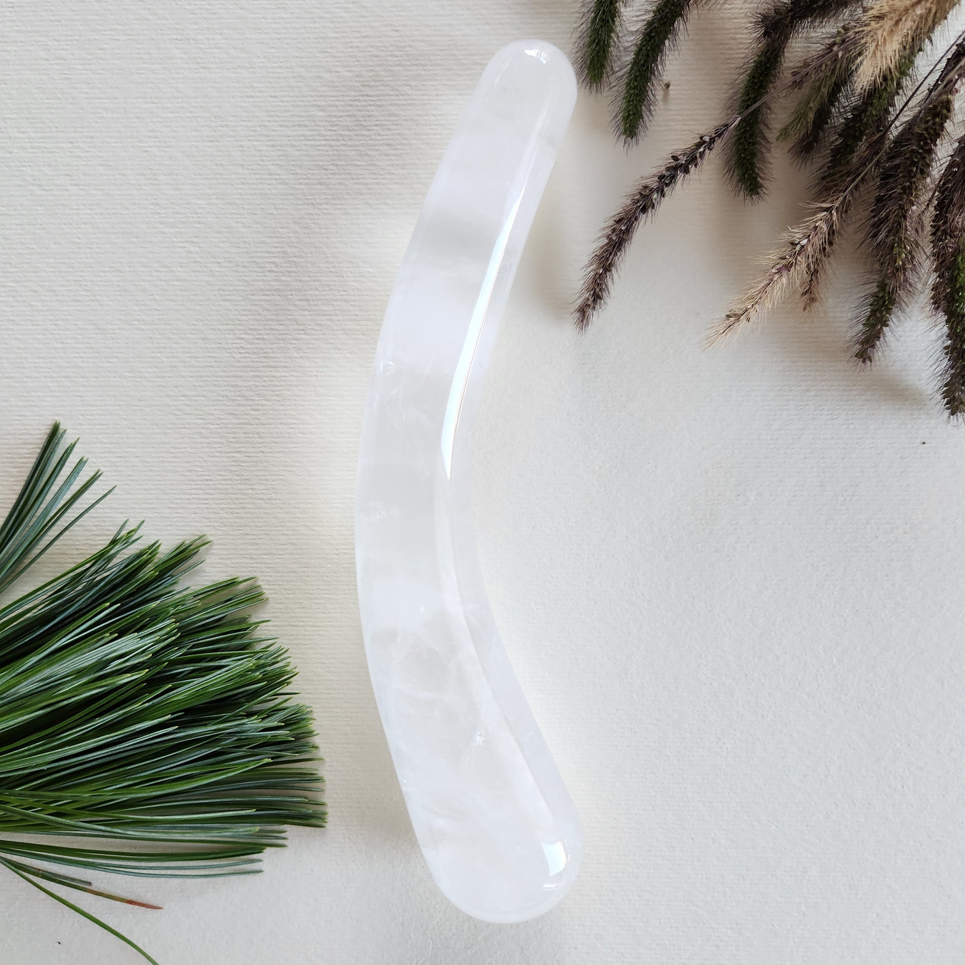 Smooth, crescent-shaped clear quartz crystal wand with a uniform thickness, lying on a light surface with pine needles and dried foliage.
