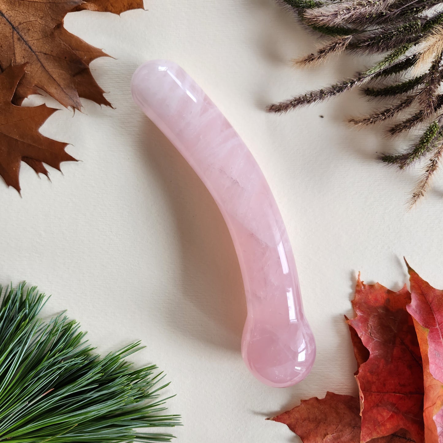 Curved rose quartz crystal wand with a smooth, polished finish, designed for G-spot stimulation, lying on a light surface surrounded by autumn leaves and pine needles.