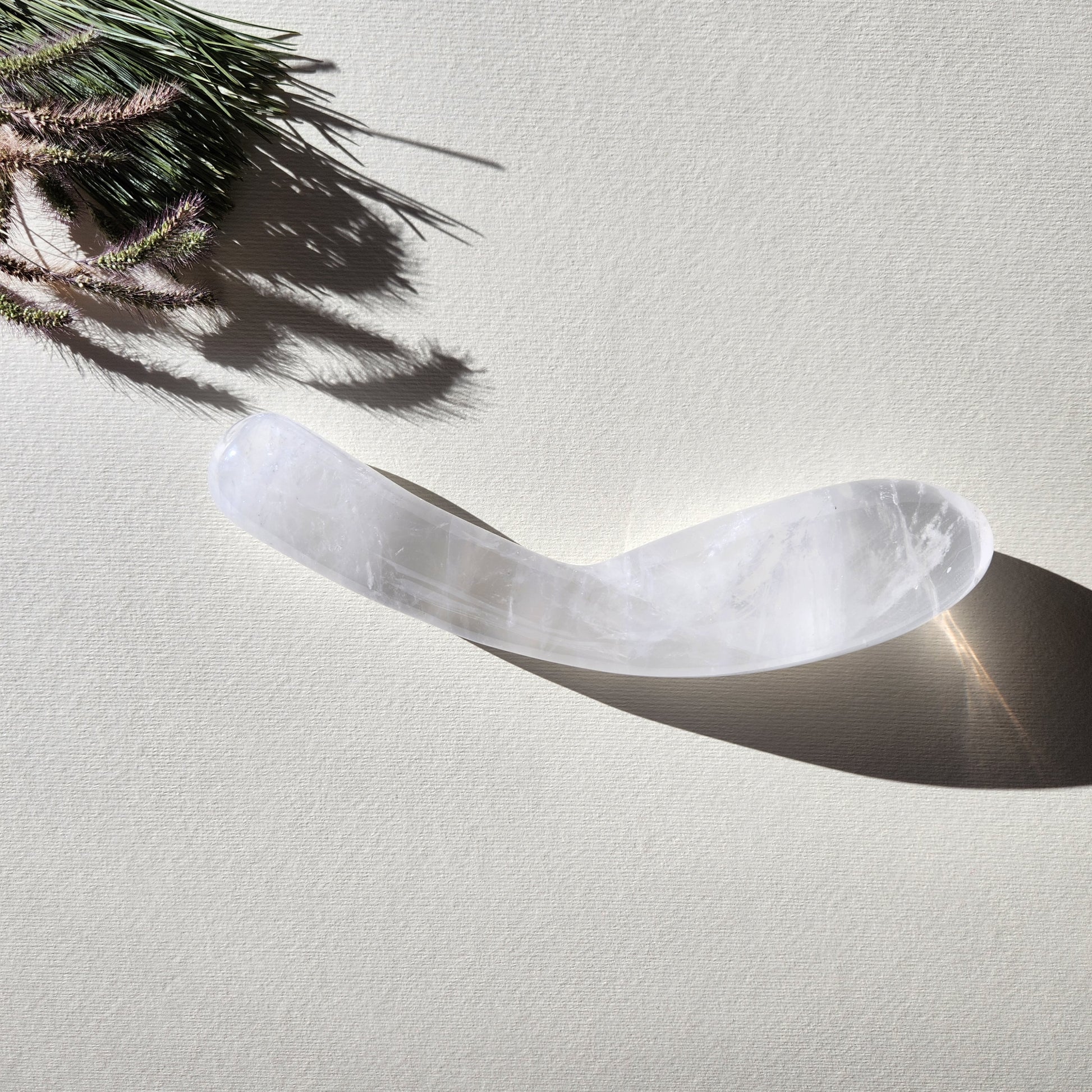 Large, curved, dual-sized clear quartz crystal wand with one thick and one thin end, lying on a light surface with pine needles and dried foliage.