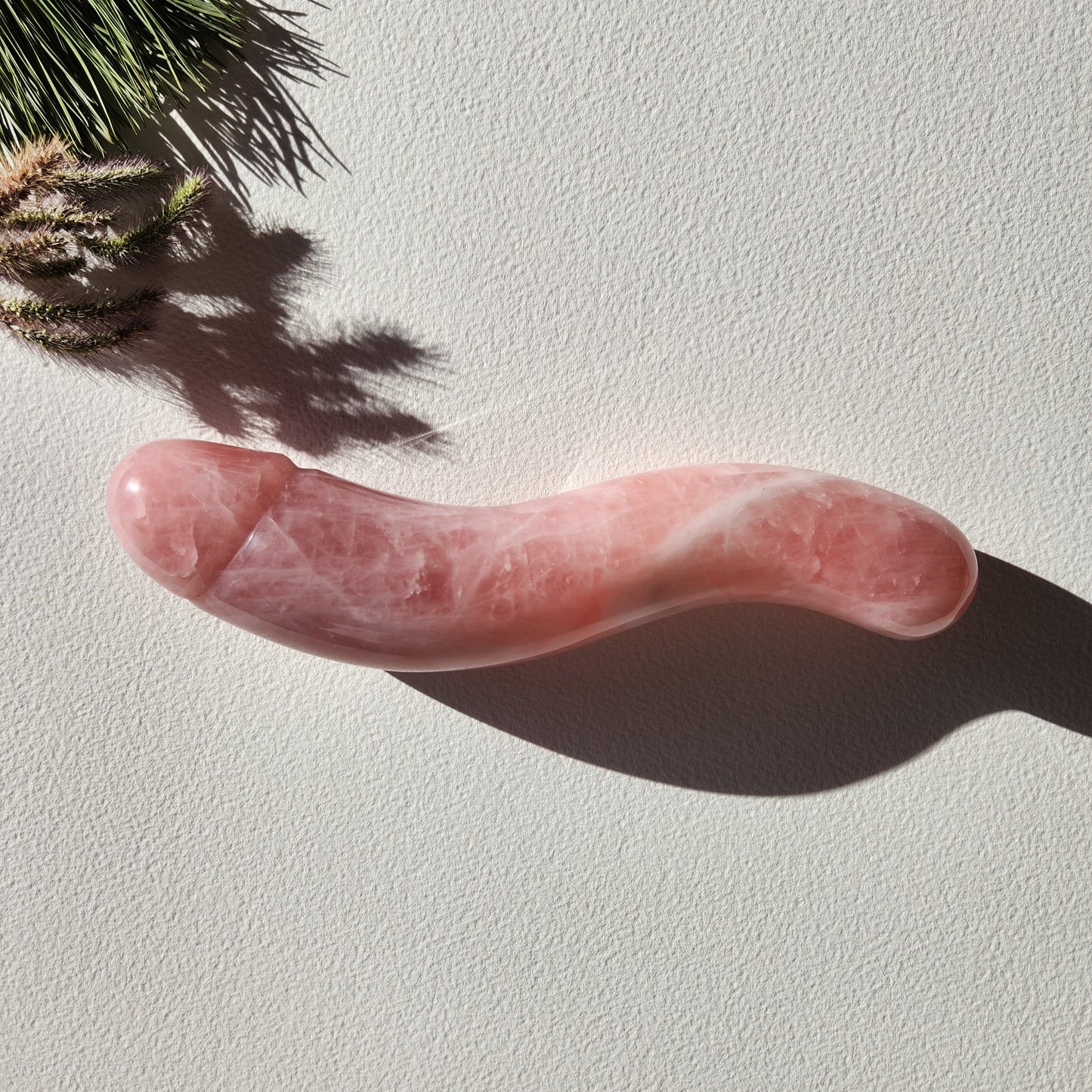 Polished rose quartz wand with a phallic shape and a distinct S-curve, lying on a white surface with pine needles and a strong shadow.